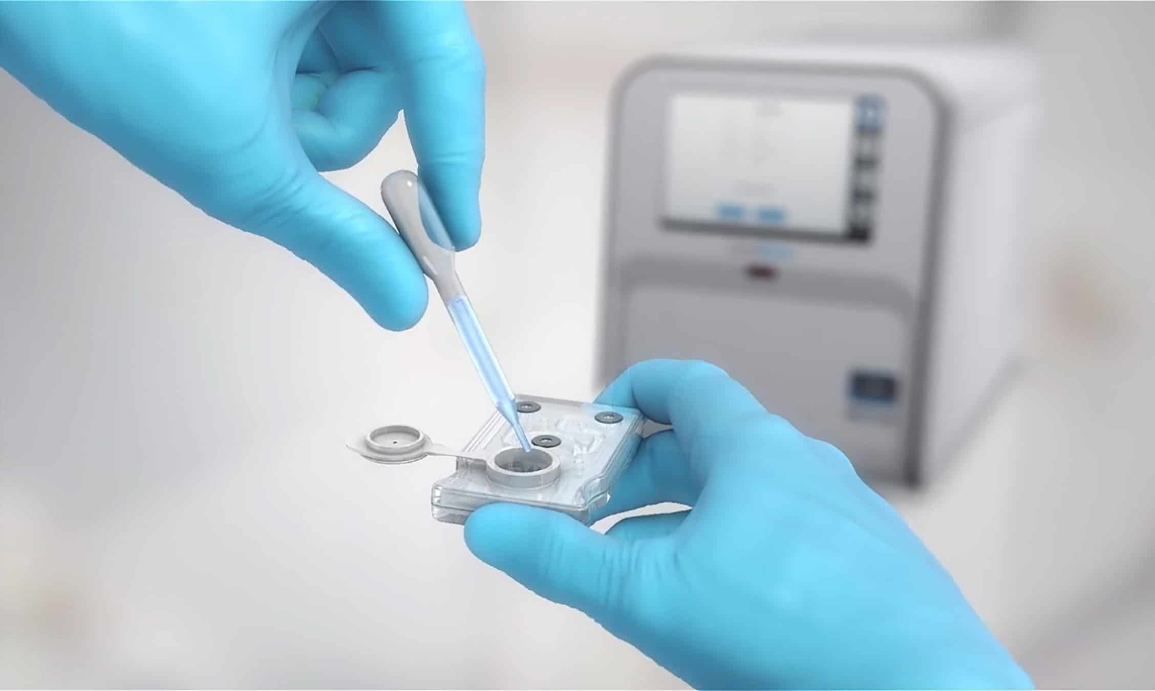 Rapid point-of-care diagnostics in animal hospitals