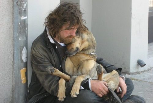 pets of the homeless