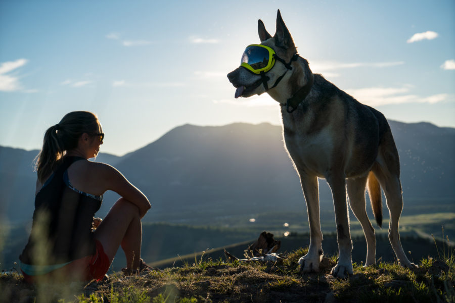 Must-have outdoor adventure gear for dogs