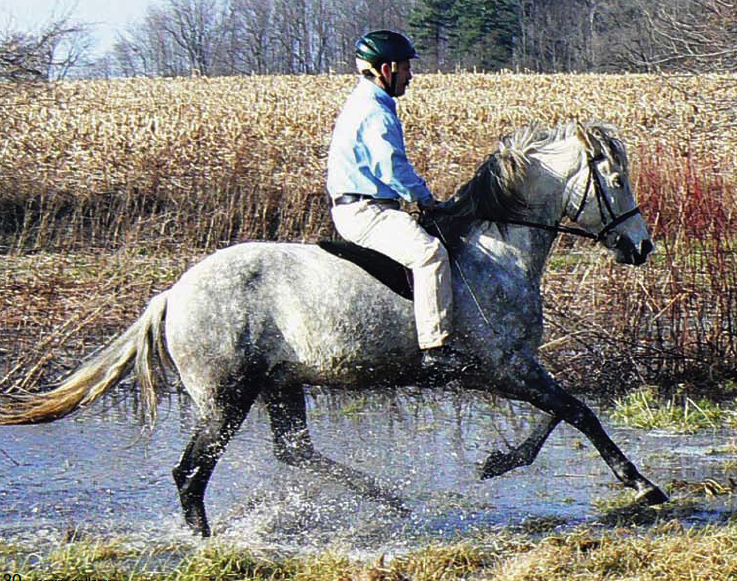 bareback riding