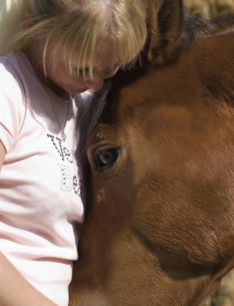 selling horses