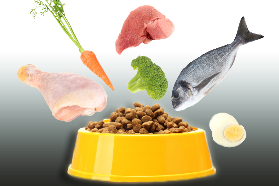 4 common myths about pet food ingredients