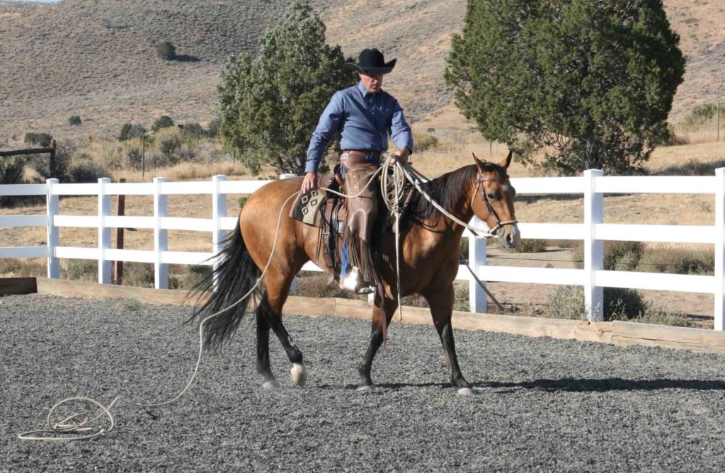 Teaching your horse to handle a rope