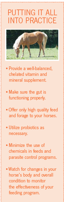 Screen Shot 2014-04-01 at 4.48.46 PM