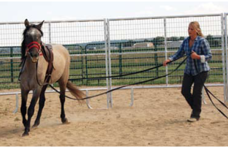 Screen Shot 2014-04-02 at 11.34.56 AM