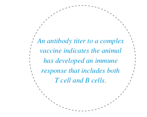 Vaccination and changing protocols - part 2