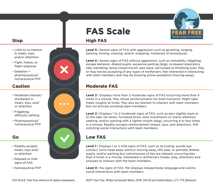 Fear Free Scale