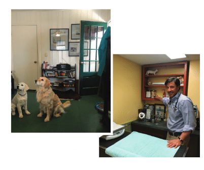 holistic consulting practice
