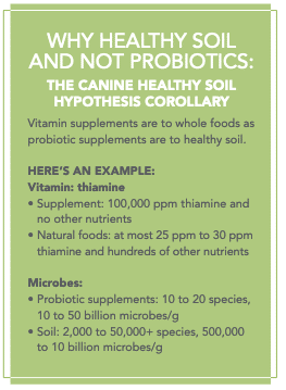 Why healthy soil?