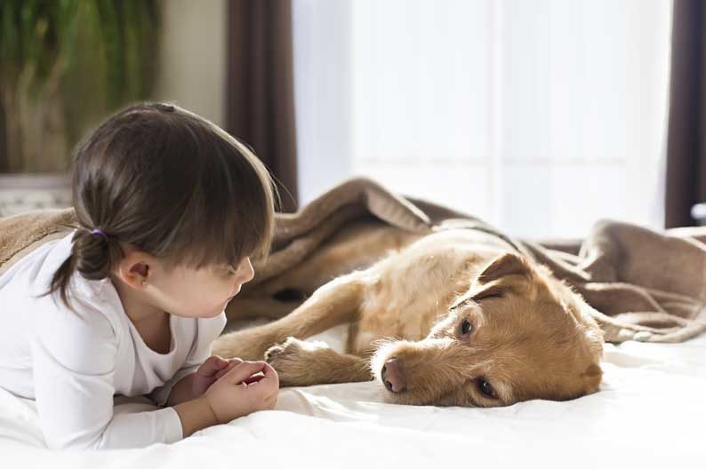 Helping your child cope with the death of a pet