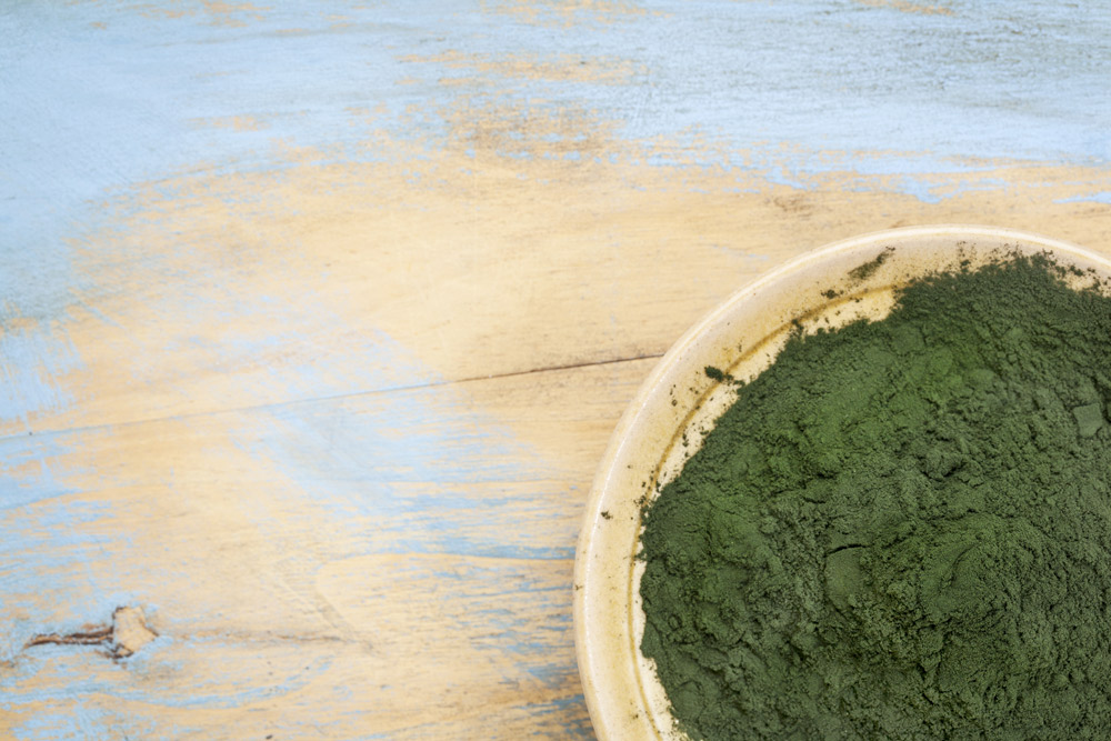 blue-green algae