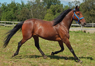 TTR Sunshine DSCN0461 - Copy (2)