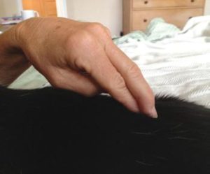 Two Finger acupressure techniqure