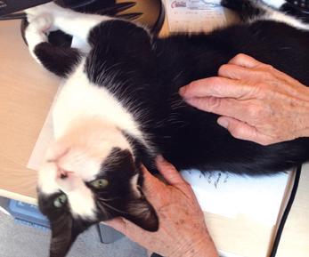 Two Finger acupressure techniqure