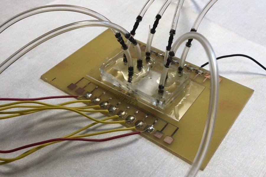 New testing tool for quick salmonella detection