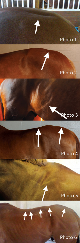poor fitting saddle