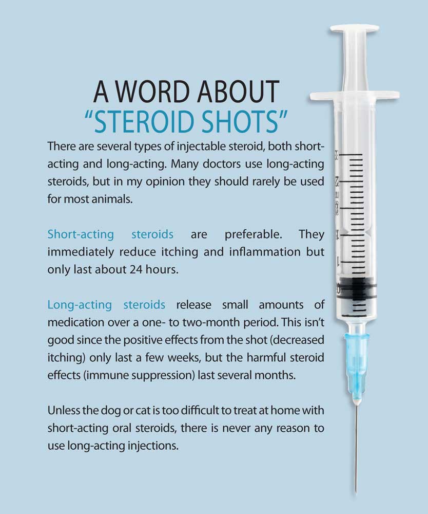 medications steroid