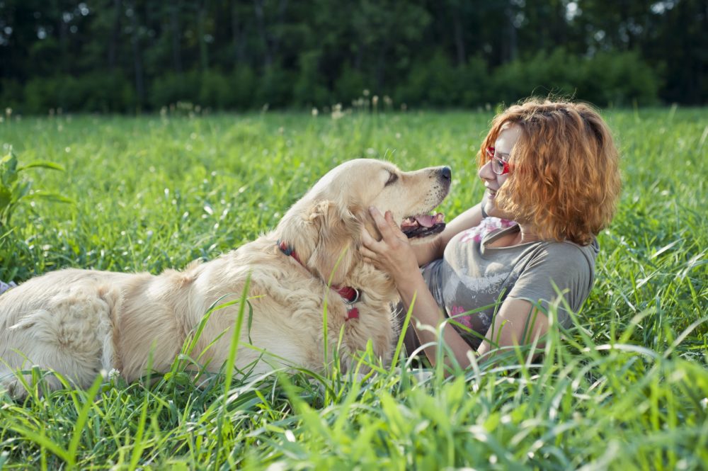 social well-being for dogs