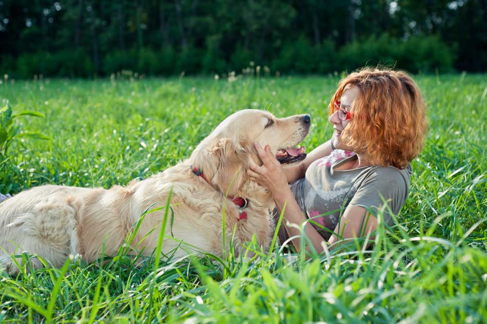 Alternative cancer therapies for dogs