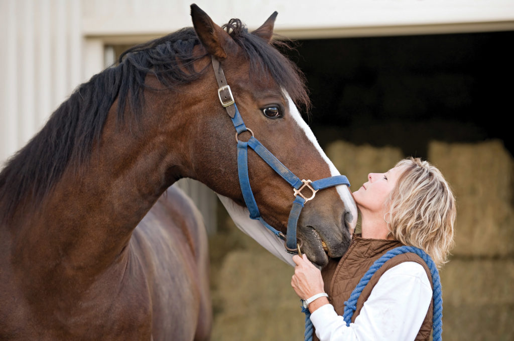 body language horse