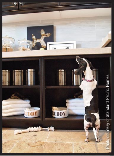canine mudroom