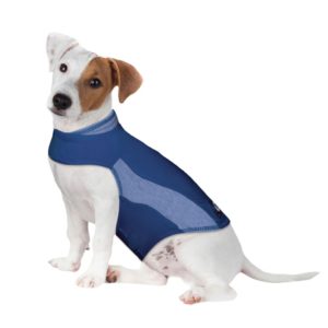 thundershirt
