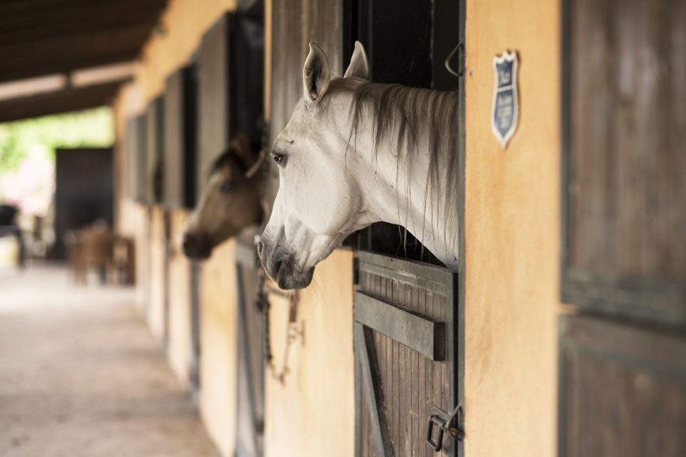 biosecurity in barns