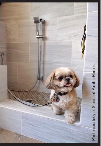 Canine bath time made easy