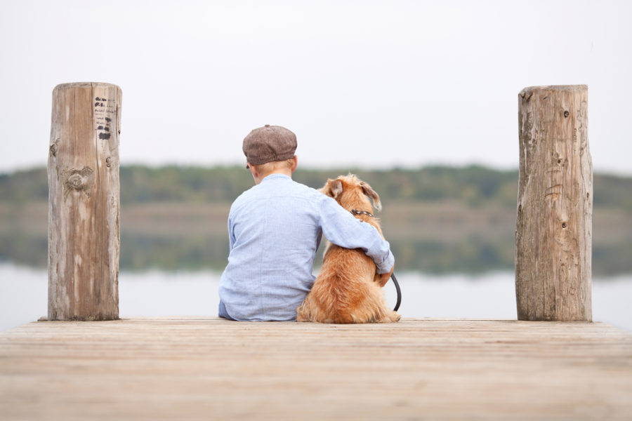 Coping with cancer in pets