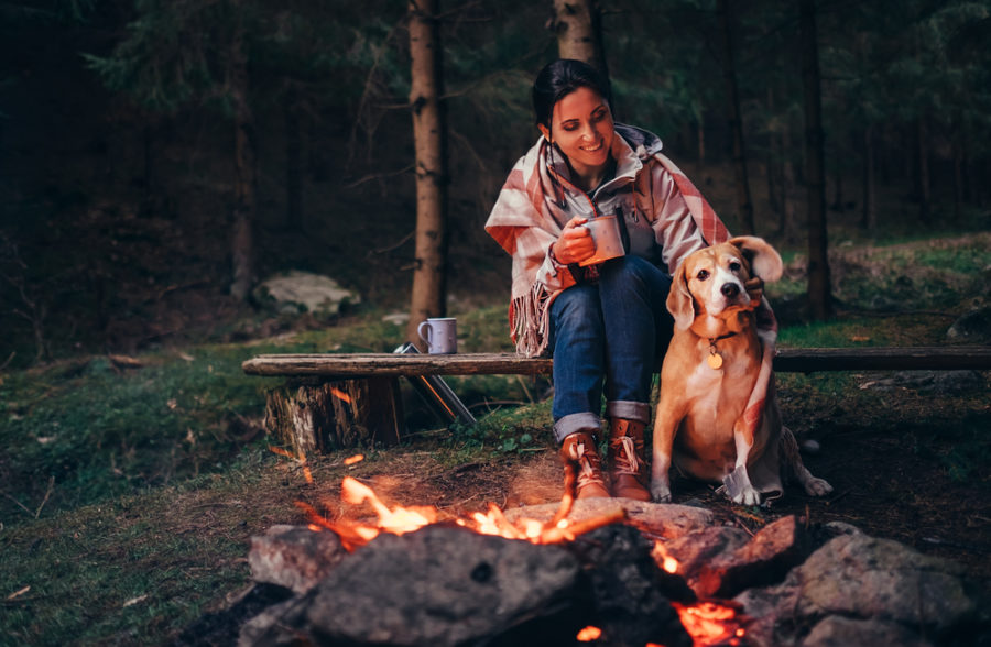 Camping with your dog