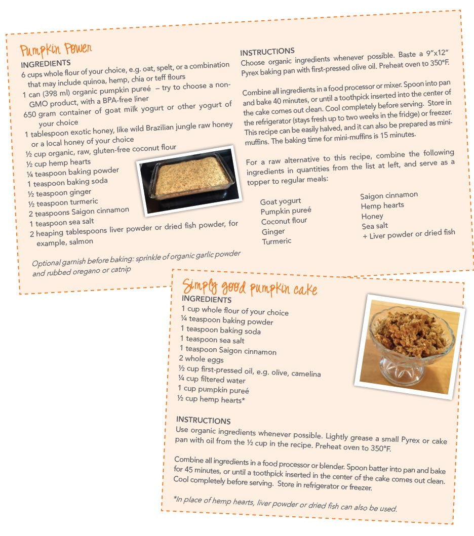 canine pumpkin and simply good pumpkin cake recipes