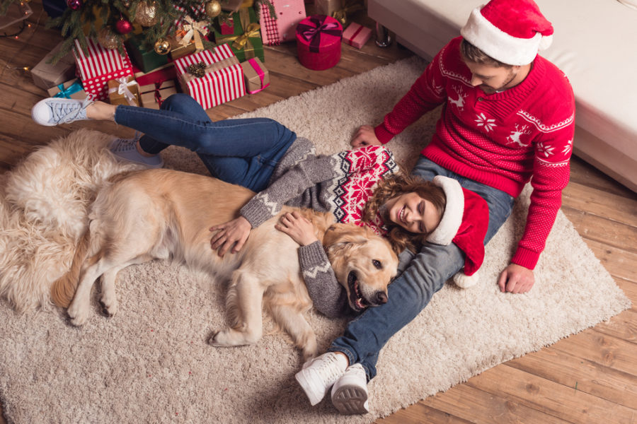 Spending the holiday season with pets