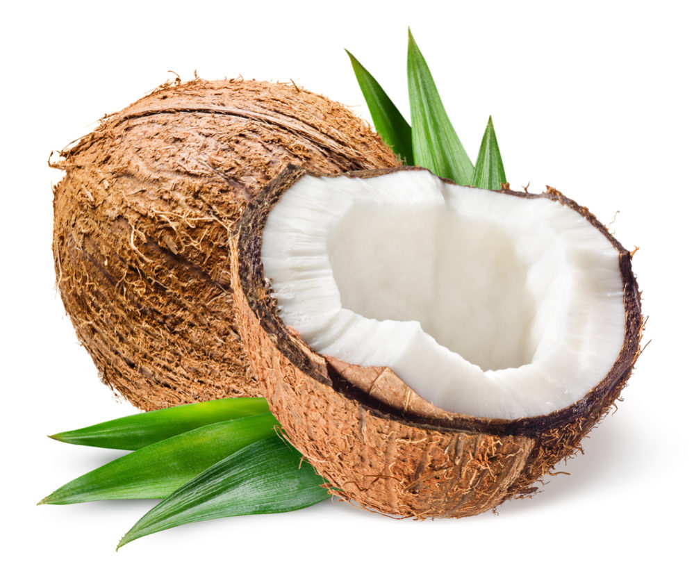 coconut for pets