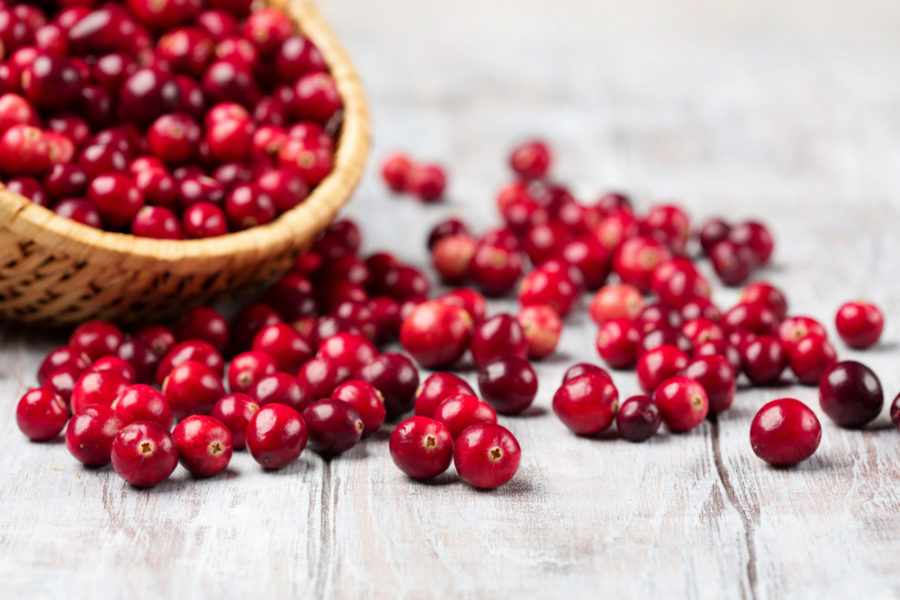 Benefits of cranberries for animals