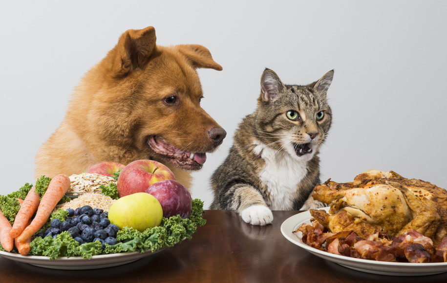 An animal-friendly holiday menu