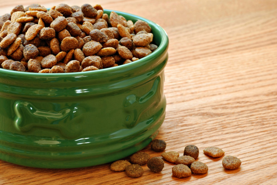 All about the melamine pet food recall of 2007