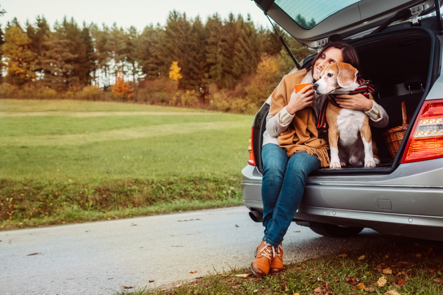 Buying a dog-friendly car