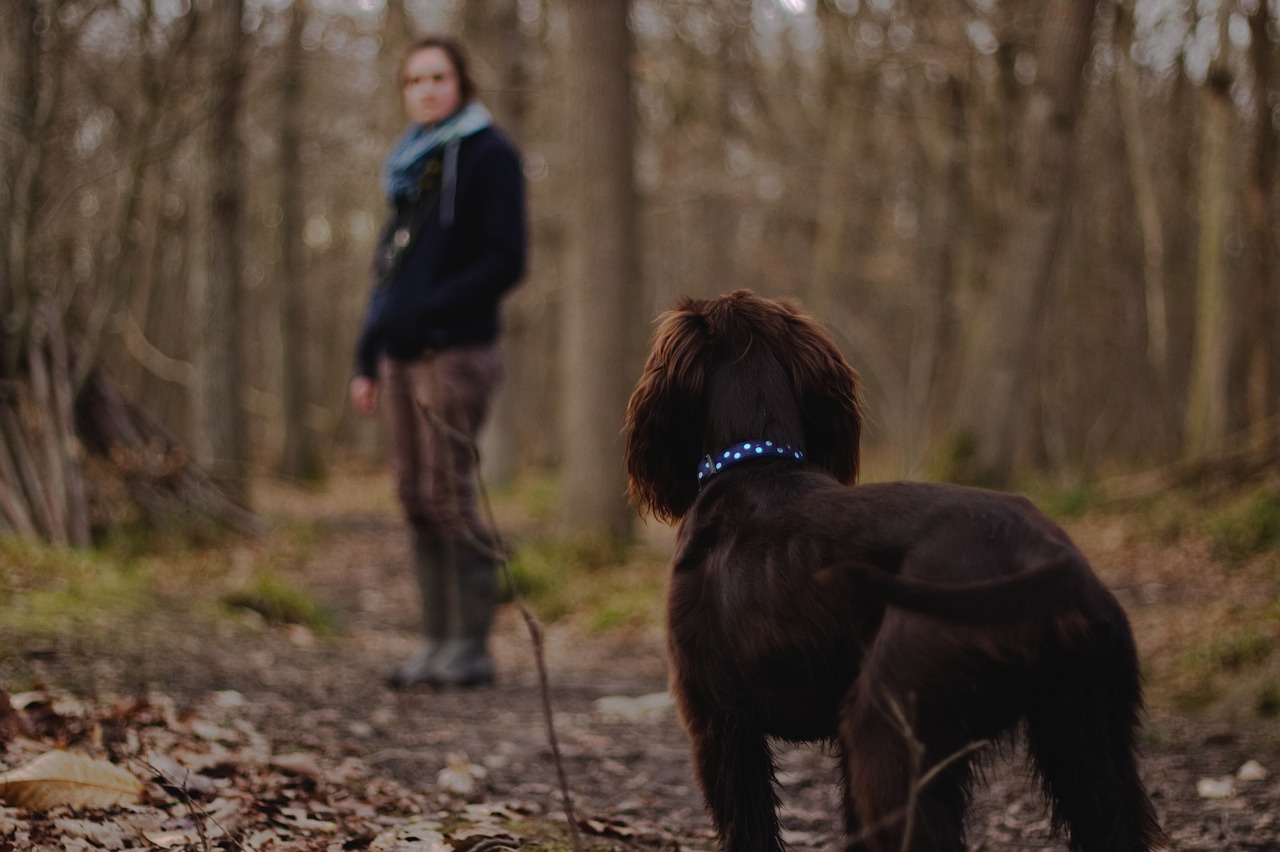 Hidden dangers for pets: hunting, trapping and baiting