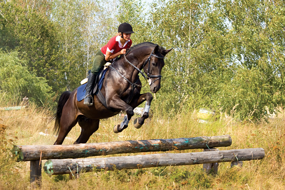 saddle fit panel