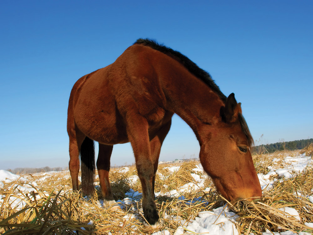 winter acupressure