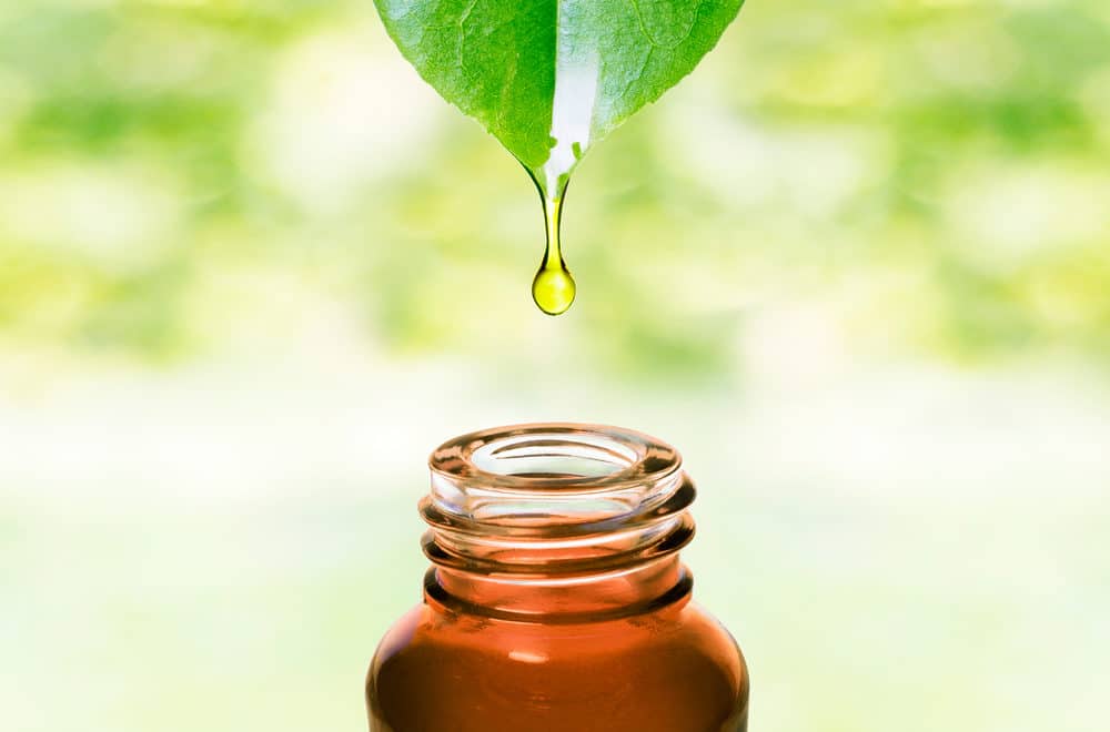 Essential oils in behavior training