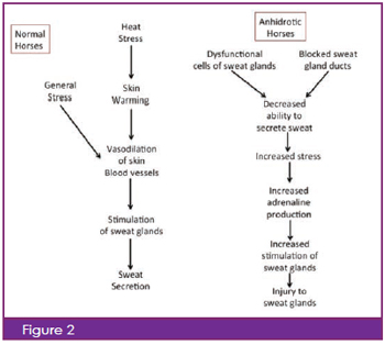 fig2