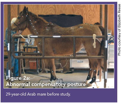 figure2a