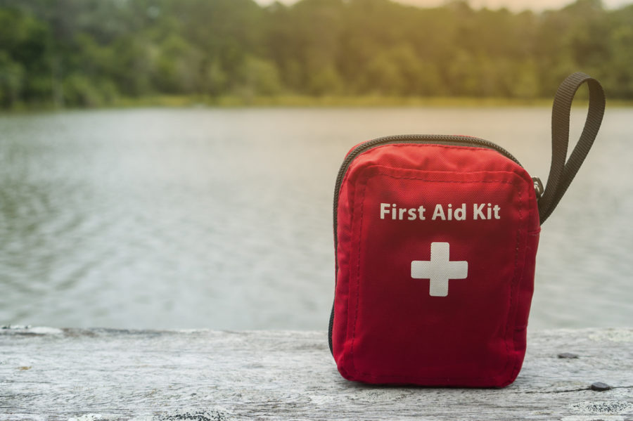 Putting together your animal's first aid kit