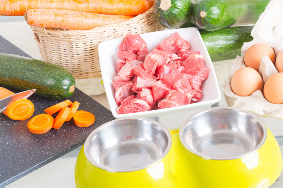 Feeding your dog a balanced diet