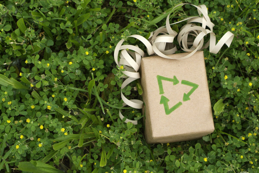 5 eco-friendly gift ideas for pets