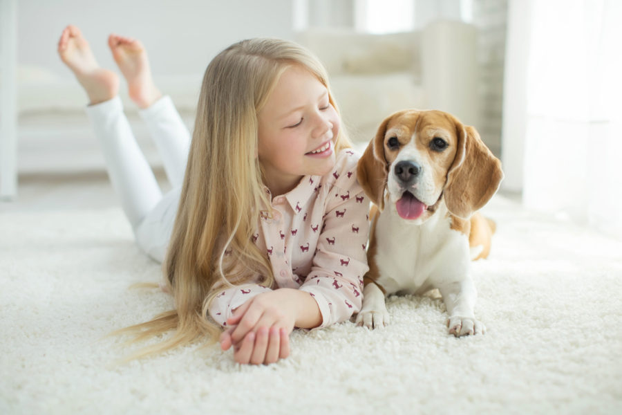 Lice prevention for dogs