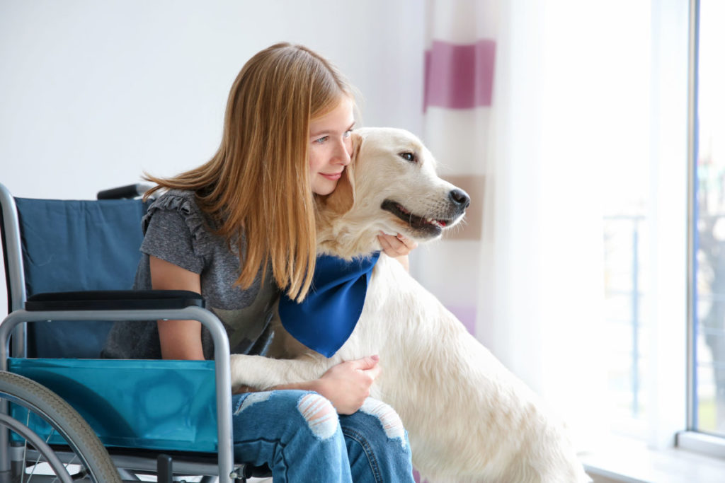 Service, therapy and emotional support dogs