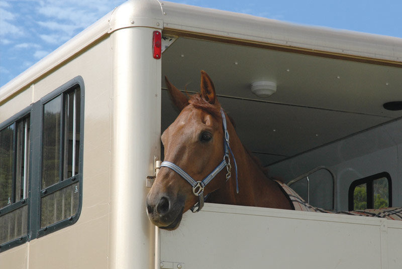 Traveling long distance with your horse