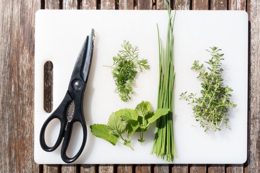 Growing your own medicinal herbs